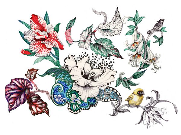 الگوی طراحی شده با آبرنگ با گل های تابستانی گرمسیری و پرندگان عجیب و غریب در پس زمینه سفید