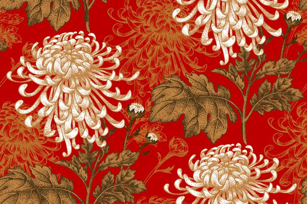 وکتور الگوی گل بدون درز گل داودی ملی ژاپنی طراحی لوکس منسوجات کاغذ کاغذ دیواری پرده پرده برگ های طلایی گل های سفید در پس زمینه قرمز