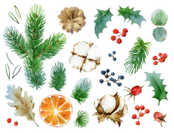 مجموعه بزرگ سال نو عناصر طراحی جدا شده است برگ ها و انواع توت ها مخروط های کاج شاخه ها پرتقال پنبه تصویر آبرنگ