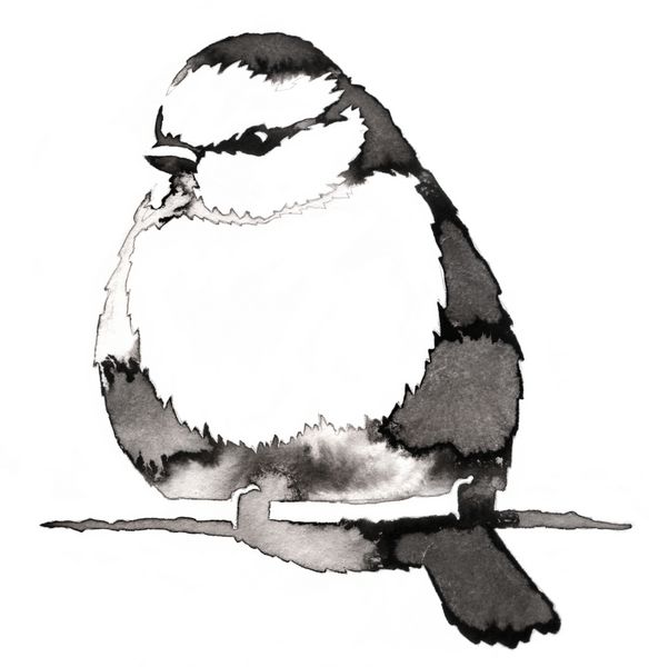 نقاشی سیاه و سفید تک رنگ با آب و جوهر تصویر پرنده tit