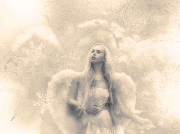 فرشته سفید