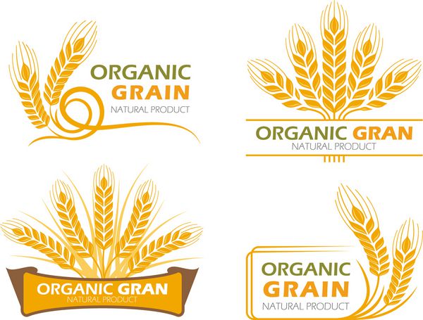 طرح ست وکتور تابلوی بنر محصولات ارگانیک برنج شلتوک لی زرد و محصولات ارگانیک و غذای سالم