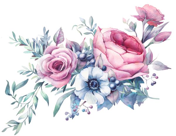 دسته گل آبرنگ ترکیب گل های رنگارنگ با دست نقاشی شده روی پس زمینه سفید گل صد تومانی به سبک وینتیج گل رز شقایق انواع توت ها و برگ ها