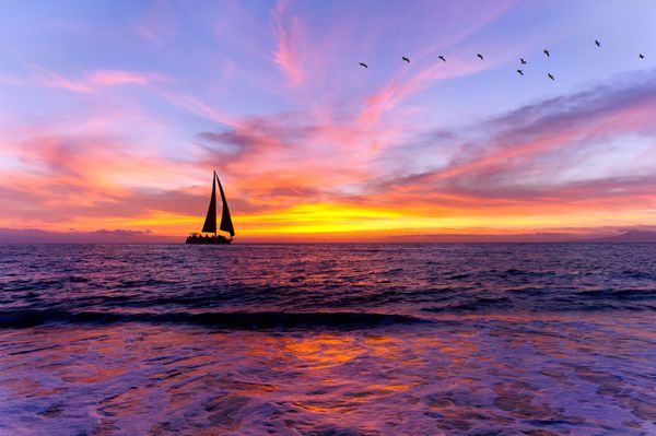 سیلوئت قایق بادبانی غروب اقیانوس قایق بادبانی است که در امتداد آب اقیانوس با آسمان رنگارنگ غروب خورشید و تصاویر پرندگانی که در پس زمینه پرواز می کنند