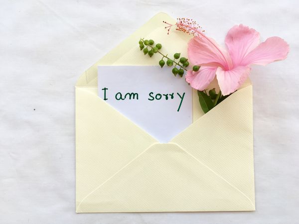 کارت پیام متاسفم در پاکت نامه با گل عاشقانه روی زمینه سفید