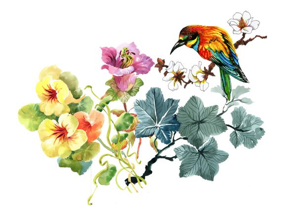 الگوی رنگارنگ دستی نقاشی شده با آبرنگ با گل ها و پرندگان زیبا در زمینه سفید