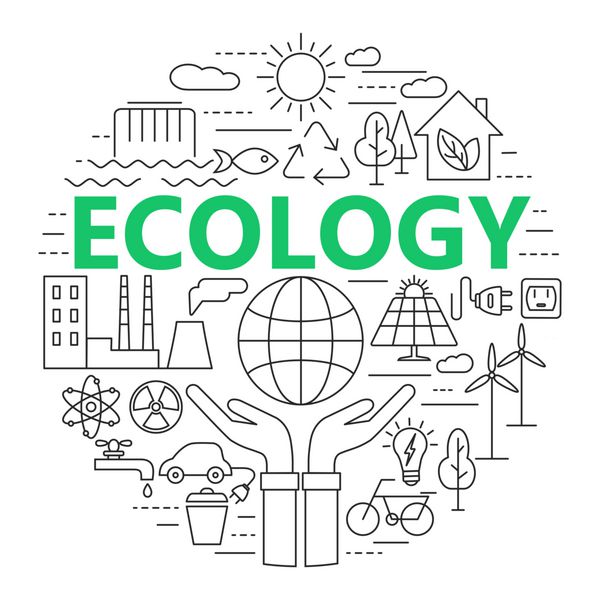 تصویر مفهومی اکولوژی و محیط زیست مجموعه آیکون های خط نازک مدرن از اکولوژی فناوری پایدار انرژی های تجدیدپذیر بازیافت طبیعت حفاظت از گیاهان و جانوران نسخه شطرنجی