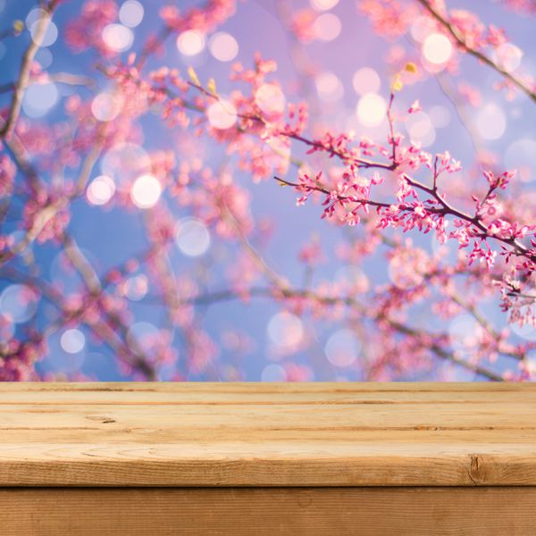 میز عرشه چوبی خالی روی پس زمینه باغ بهار بوکه تار برای نمایش مونتاژ محصول