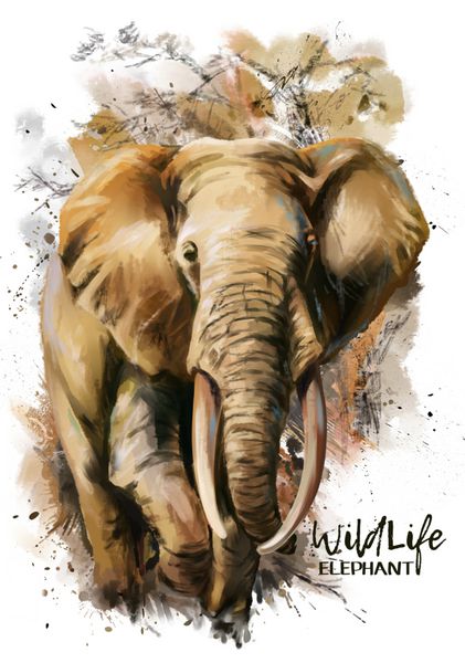نقاشی آبرنگ فیل