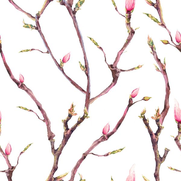 الگوی بدون درز بهاری گلدار آبرنگ شاخه‌های درختان پرنعمت شاخه‌ها گل‌ها و برگ‌ها تصویر آبرنگ گیاه‌شناسی در پس‌زمینه سفید