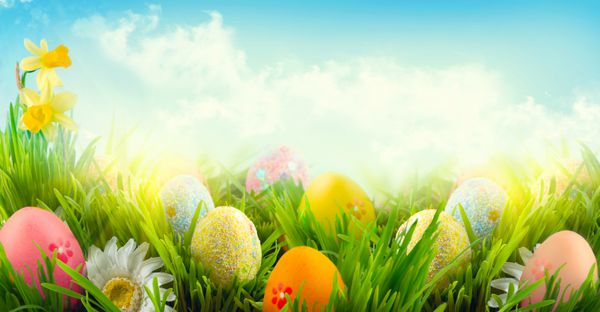 پس زمینه صحنه بهار طبیعت عید پاک تخم مرغ و گل های رنگارنگ زیبا در چمنزار بهاری بر فراز آسمان آبی با خورشید طراحی حاشیه کارت دعوت