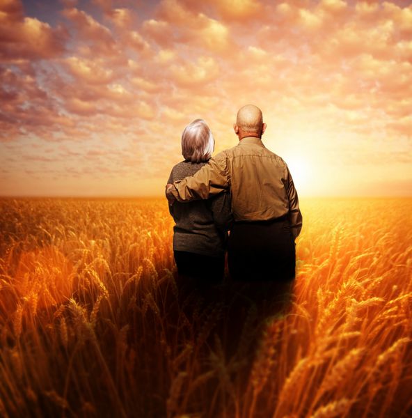 زوج سالخورده ای که در غروب آفتاب در مزرعه گندم ایستاده اند