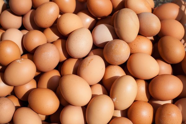 پس زمینه تخم مرغ تازه خانگی غذای ارگانیک