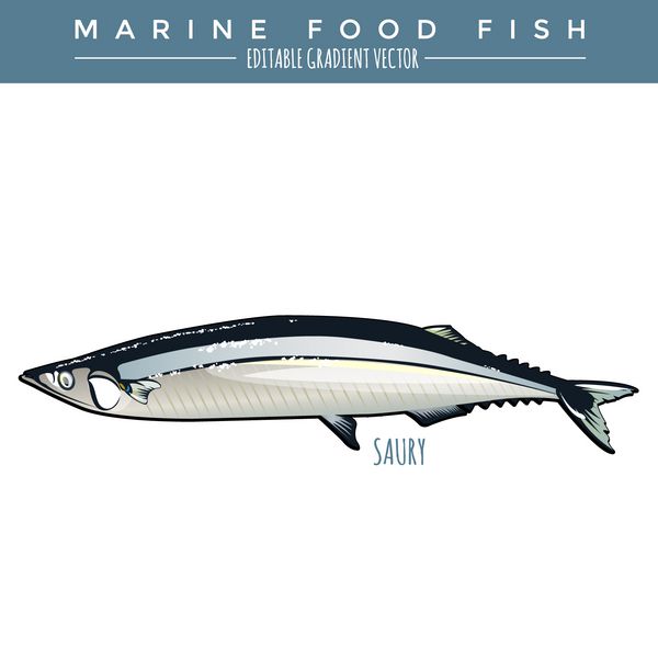 ساوری ماهی غذاهای دریایی