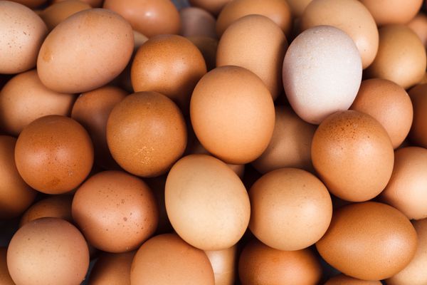 پس زمینه تخم مرغ تازه خانگی غذای ارگانیک