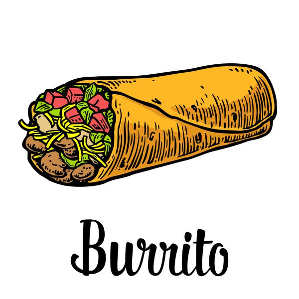 Burrito - غذای سنتی مکزیکی وکتور تصویر حکاکی شده رنگی برای منو پوستر وب جدا شده در زمینه سفید