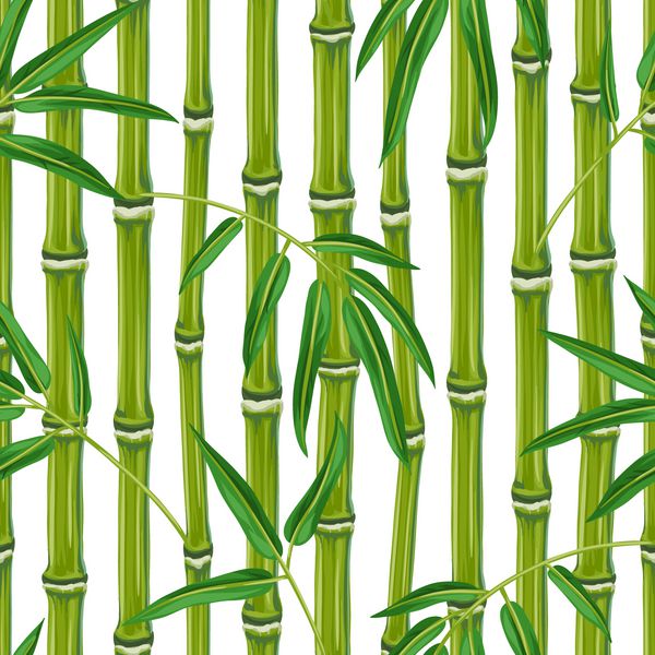 الگوی بدون درز با گیاهان و برگ های بامبو پس زمینه بدون ماسک برش ساخته شده است استفاده آسان برای پس زمینه پارچه کاغذ بسته بندی