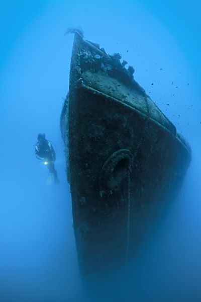 غواص غواصی در حال کاوش در کشتی غرق شده به نام پاریس II