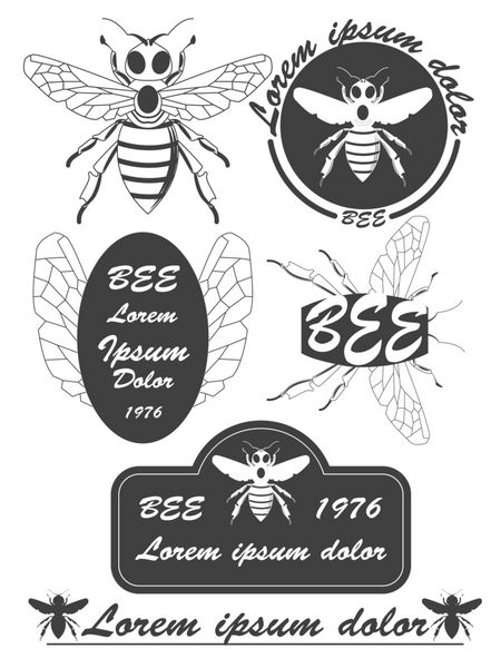 مجموعه ای از عسل های قدیمی برچسب زنبورها نشان ها و عناصر طراحی بردار