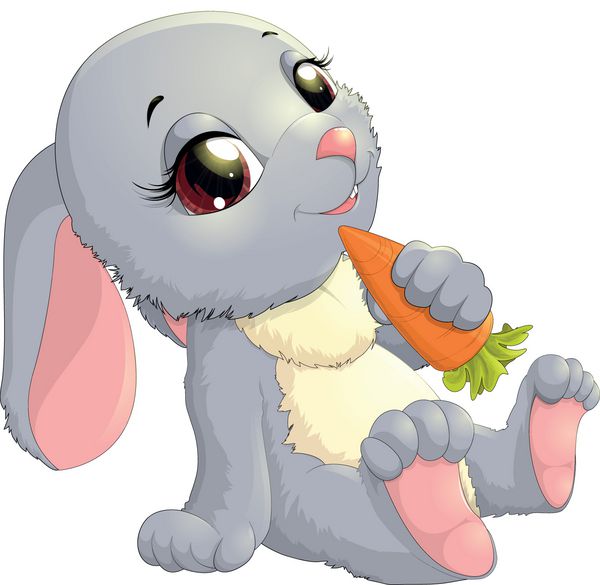 خرگوش روی هویج