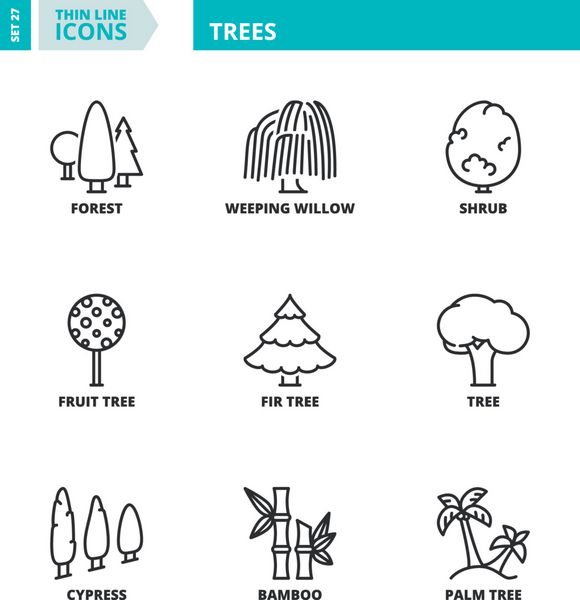 نمادهای خط نازک درختان