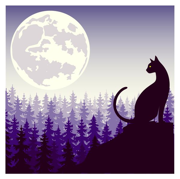 شبح عرفانی یک گربه در پس زمینه ماه