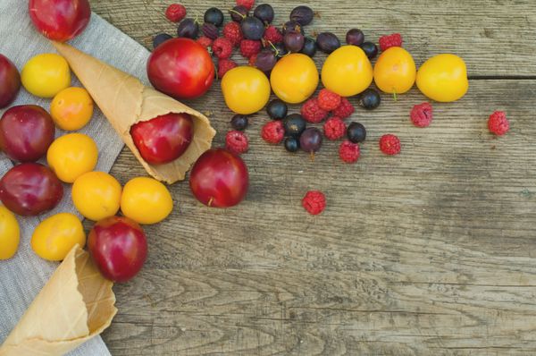 میوه های رسیده - آلو قرمز و آلیچای زرد آلو گیلاس در مخروط های بستنی شکری در پس زمینه چوبی