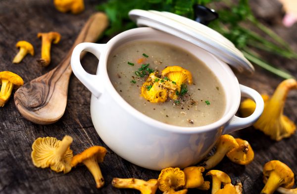 سوپ قارچ خامه ای خوشمزه با قارچ