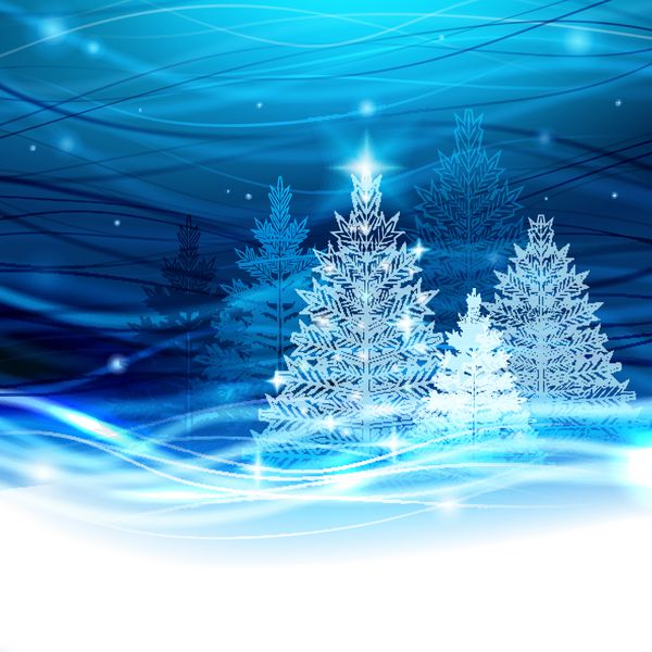 روشن کردن درخت کریسمس