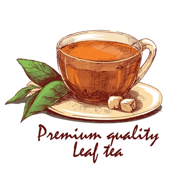 فنجان چای برگ رنگی فنجان چای برگ چای و نان قند روی نعلبکی تصویر گرافیکی طراحی شده با دست جدا شده در پس زمینه سفید بردار