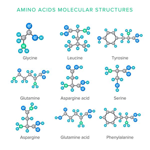 ساختارهای مولکولی وکتور از اسیدهای آمینه جدا شده روی مجموعه سفید