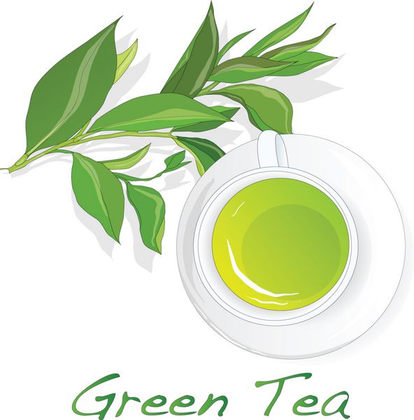 فنجان چای سبز با برگ های چای