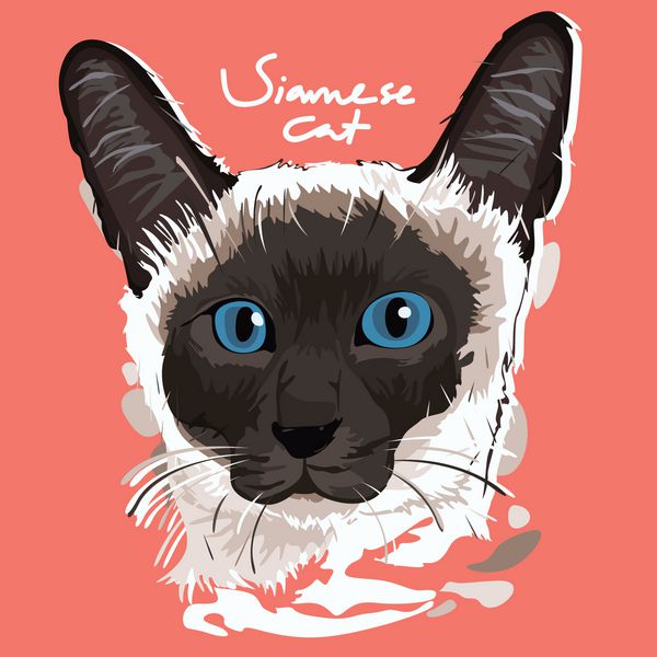 پوستر نقاشی گربه سیامی