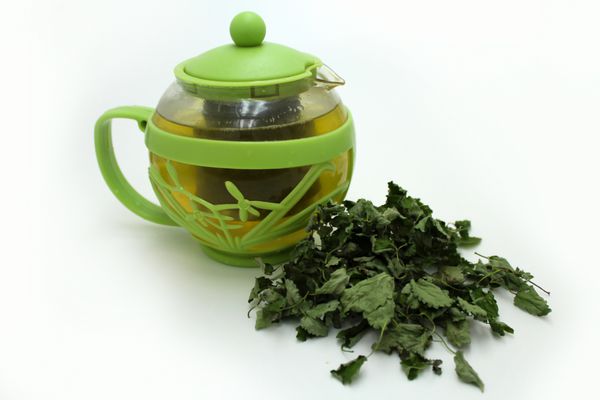 چای سبز در قوری و بادرنجبویه خشک روی زمینه سفید