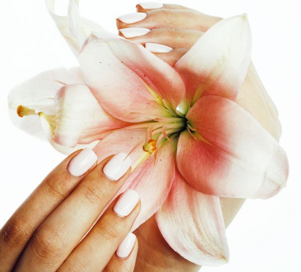 زیبایی دست های ظریف با مانیکور نگه داشتن گل زنبق از نزدیک جدا شده بر روی سفید مفهوم سالن آبگرم