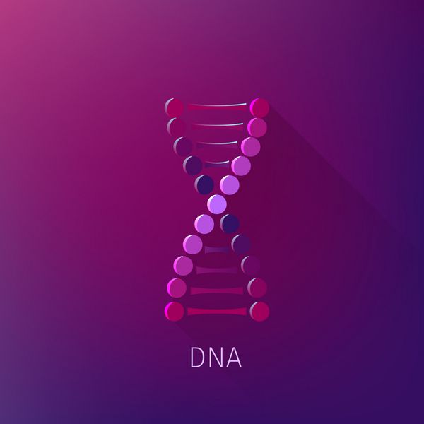نماد DNA وکتور جدا شده برای وب