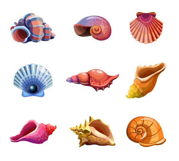 مجموعه ای رنگارنگ استوایی از صدف های دریایی نمادهای زیر آب وکتور