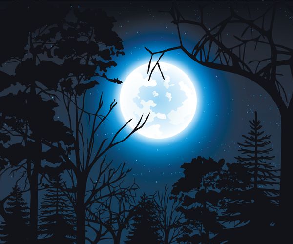 منظره شب با آسمان پرستاره و ماه کامل در پس‌زمینه‌ای از درختان