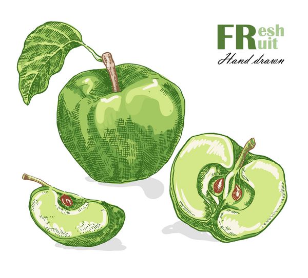 سیب سبز جدا شده در پس زمینه سفید طرح تصویر وکتور میوه