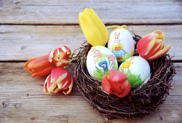 Osternest mit Eiern und Tulpen