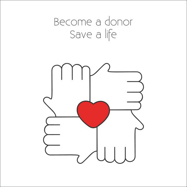 وکتور اهدای خون چهار دست سفید متصل در قفل با قلب قرمز بین آنها در پس زمینه سفید الگوی پوستری برای جامعه اهدای خون خط نازک