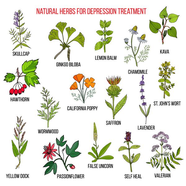 بهترین داروهای گیاهی برای افسردگی