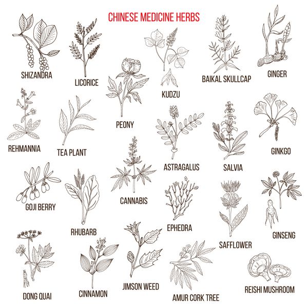 گیاهان دارویی چینی