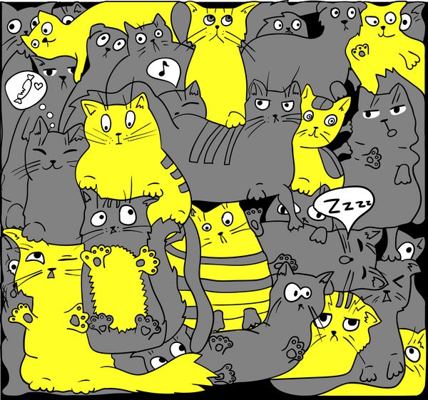 گربه های خاکستری و زرد روی مشکی