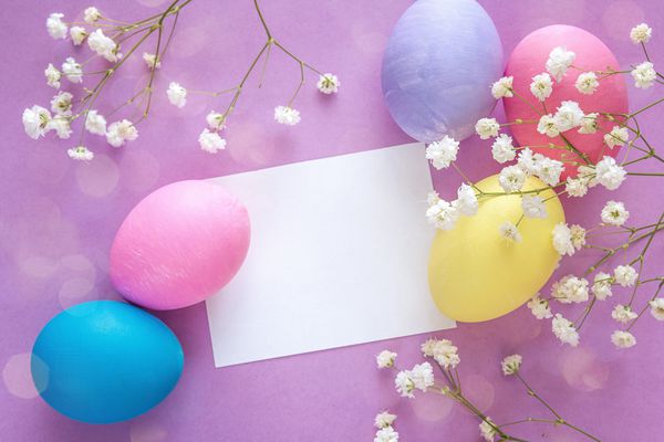تخم مرغ های عید پاک با کارت کاغذی خالی و گل های سفید در پس زمینه بنفش فضایی برای متن