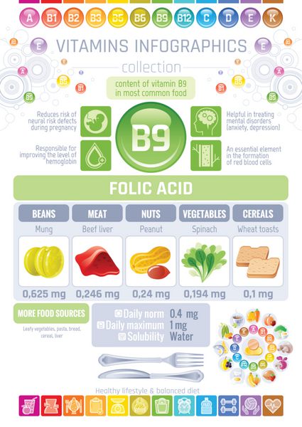 نمادهای غذایی غنی از اسید فولیک ویتامین B9 مجموعه آیکون تخت غذا خوردن سالم آرم نامه متنی بروشور نمودار اینفوگرافیک رژیم غذایی جگر بادام زمینی ماش پس زمینه وکتور جدول مزایای سلامتی انسان
