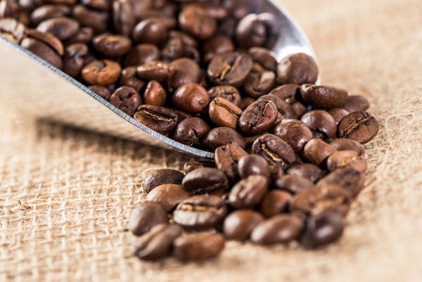 دانه های قهوه معطر پراکنده از قاشق فلزی روی سطح گونی
