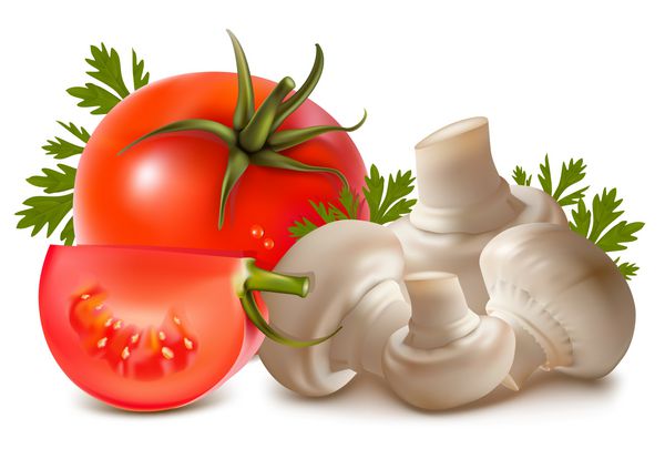 وکتور گوجه فرنگی با قطره آب و جعفری