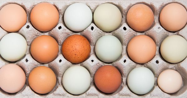 تخم مرغ رنگارنگ در سینی