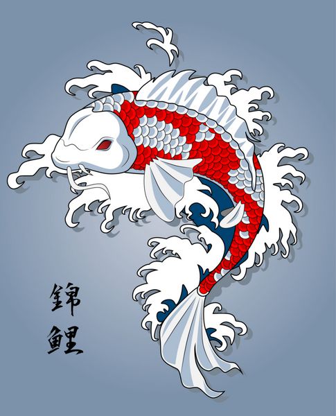 ماهی کوی ژاپن